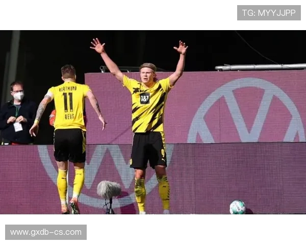 哪支德甲球队门票最贵？球市行情与票价分析