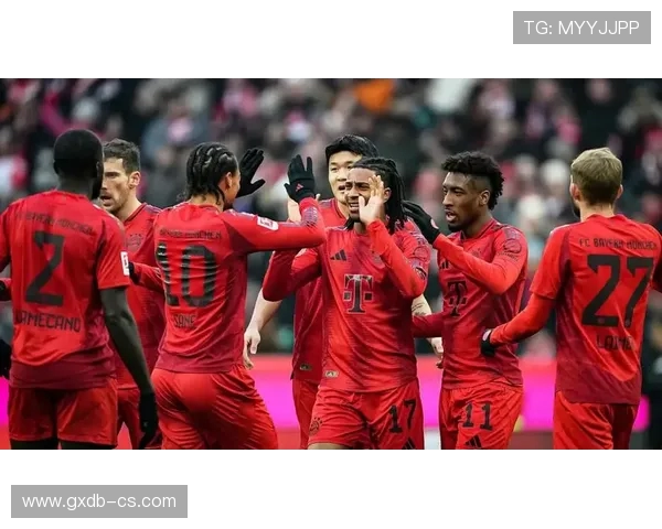 最新德甲球队划分标准图示（2024版本）