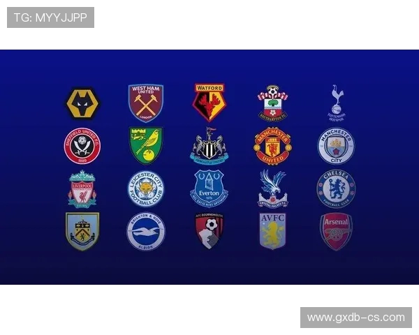 英超球员年收入水平及俱乐部薪资结构研究